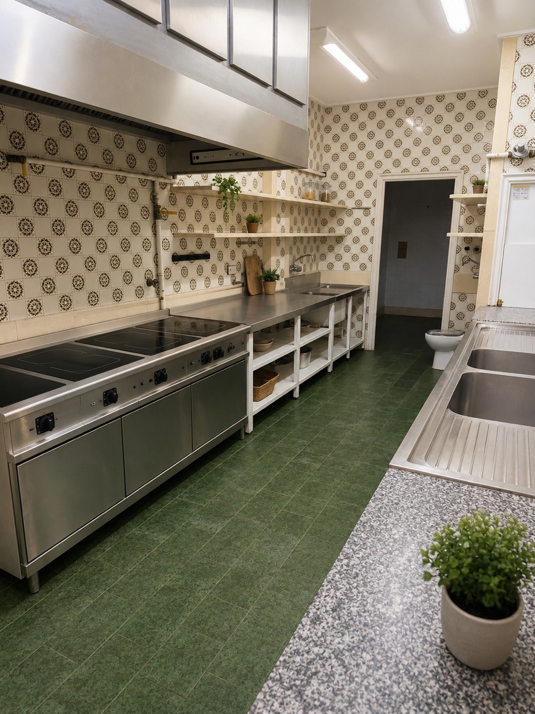 Cocina compartida con placas de inducción de acero inoxidable
